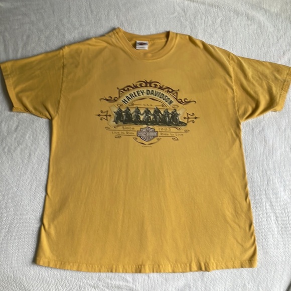 Retro Harley DavidsonNew River Gorge Hico White Water Rafting Biker Tee - Picture 2 of 14